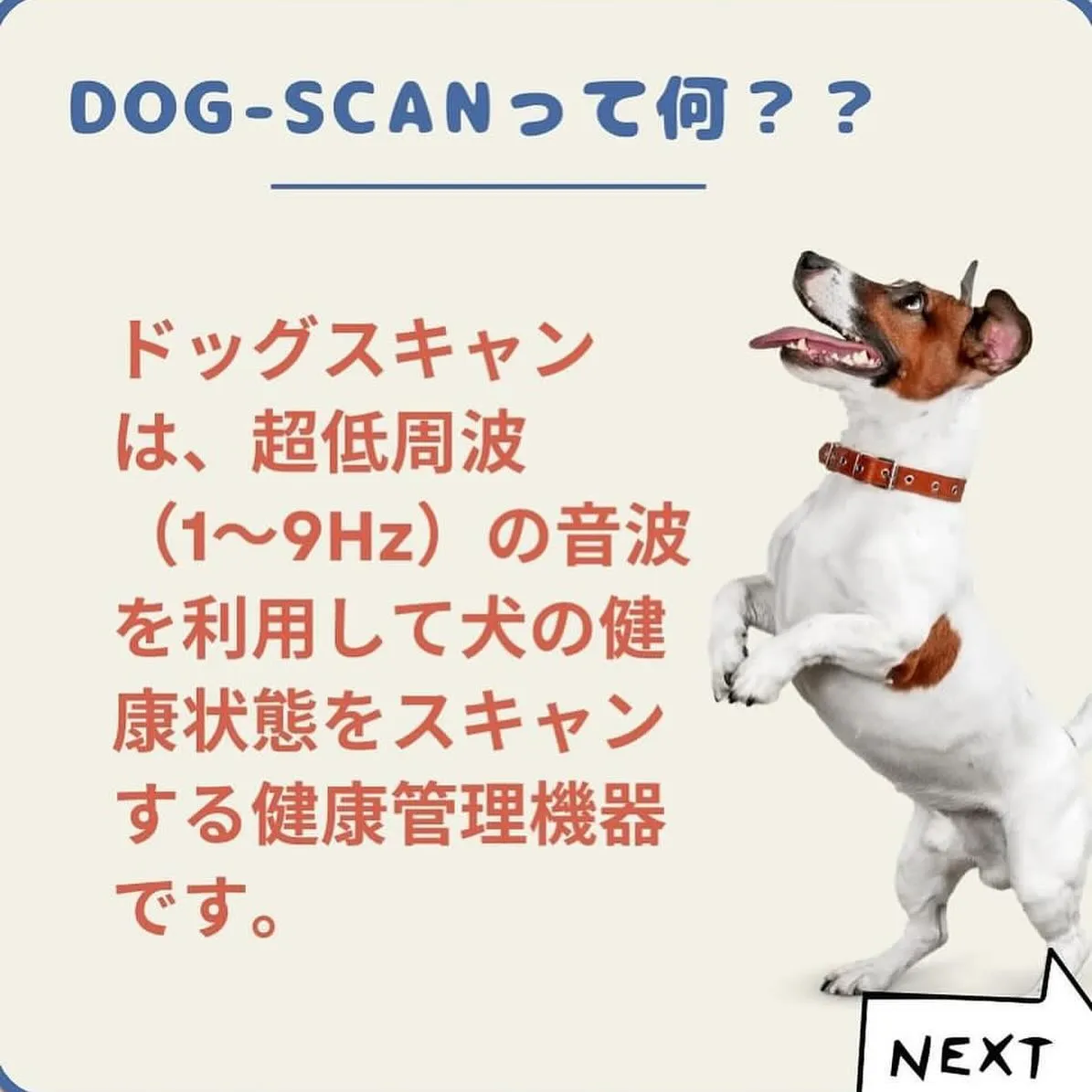 今月もハイリゲストール様とのコラボ❕🎉