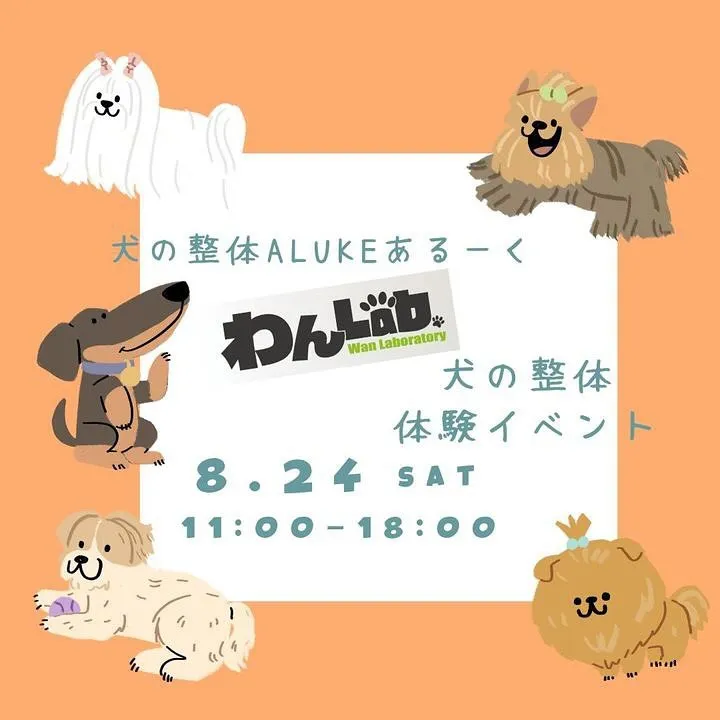 わんLab.  犬の整体あるーく様　コラボイベント