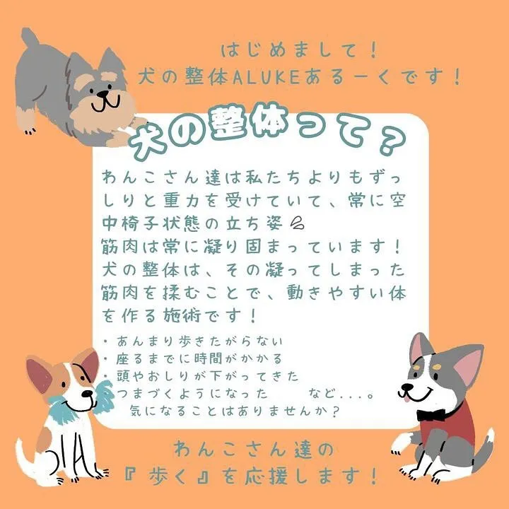 わんLab.  犬の整体あるーく様　コラボイベント